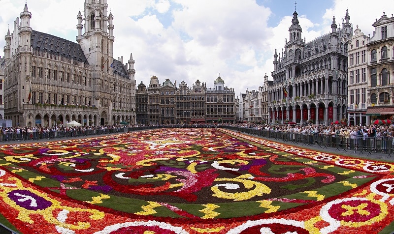 brussels_floral